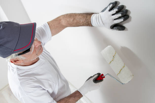Best Forensic Mold Investigation  in Brighton, IL