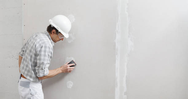 Best Environmental Consulting for Mold Prevention  in Brighton, IL