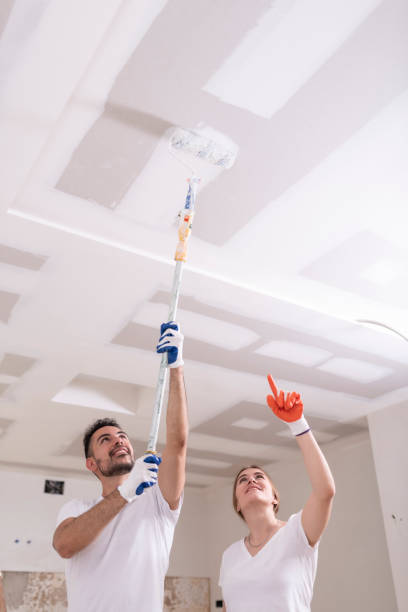 Best Indoor Air Quality Assessment  in Brighton, IL