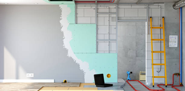 Best Post-Construction Mold Inspection  in Brighton, IL