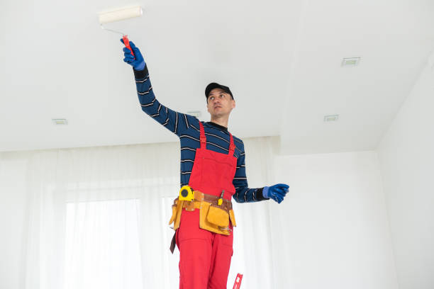 Best Water Damage & Mold Remediation  in Brighton, IL