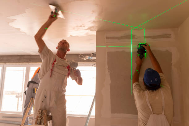Best Emergency Mold Remediation  in Brighton, IL