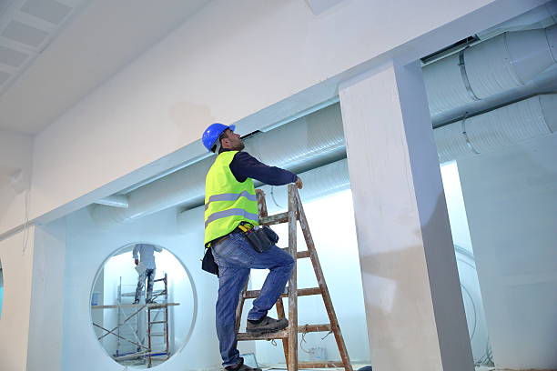 Best Mold Damage Restoration  in Brighton, IL