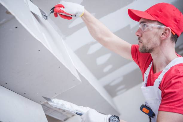 Brighton, IL Mold Removal Pros